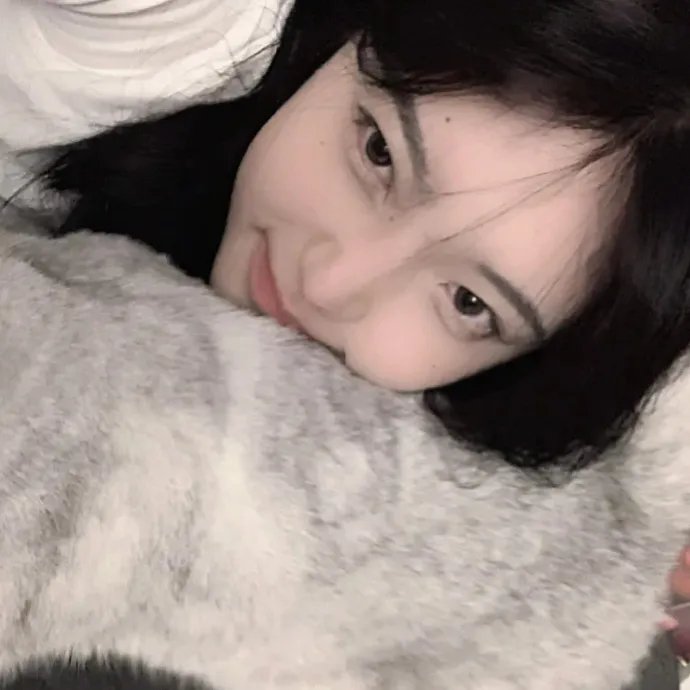 全美缉凶:本·拉登